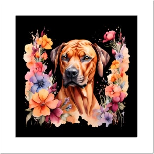 A rhodesian ridgeback decorated with beautiful watercolor flowers Posters and Art